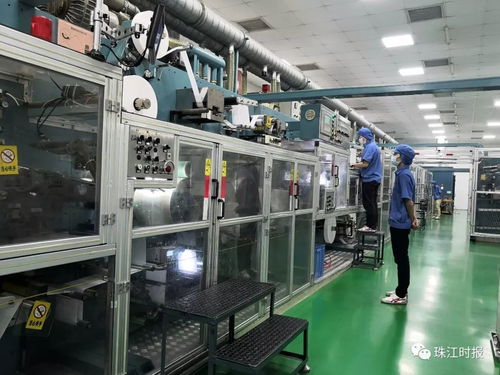 从纸尿裤到商务秘书 西樵产业的多元崛起与创新转型